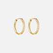 Zircon Øreringe 18K Guldbelagt 16mm